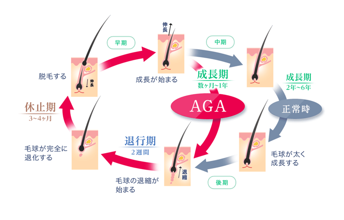 ヘアサイクル