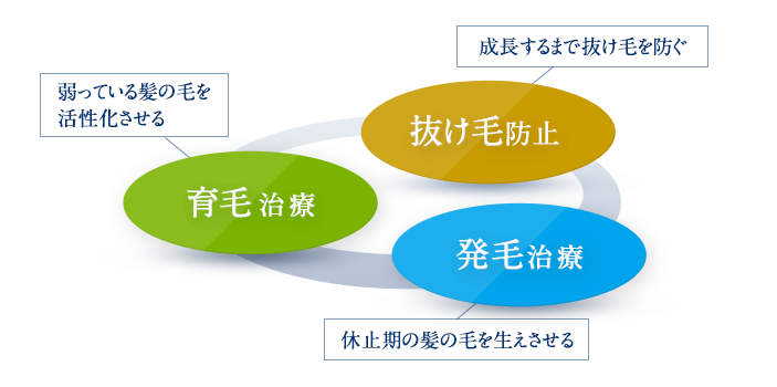 成長するまで抜け毛を防ぐ　抜け毛予防　弱っている髪の毛を活性化させる　育毛治療　休止期の髪の毛を生えさせる　発毛治療