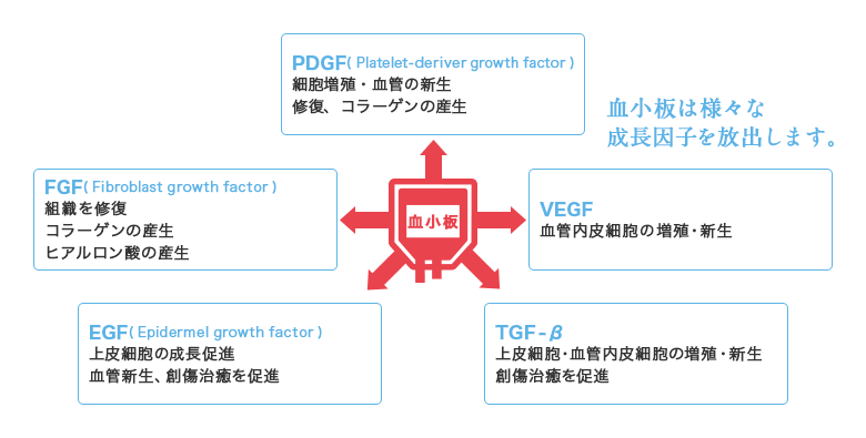 PRP再生治療